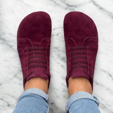 Blandy 2-day transition