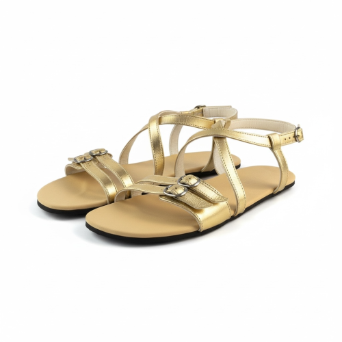 Moni Lux S.transicion