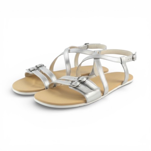 copy of Moni Lux S.transicion